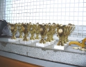 únor 2010 - Soutěž ve sportovním rybaření