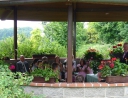 červenec 2010 - Svatební obřad