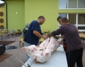 září 2010 - Slavnostní otevření KD Hodonice