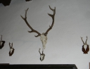 září 2010 - Výšlap na Hardegg