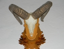 září 2010 - Výšlap na Hardegg