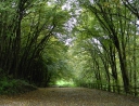 září 2010 - Výšlap na Hardegg