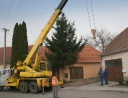 listopad 2010 - Rozsvícení vánočního stromu