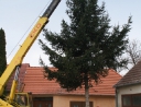 listopad 2010 - Rozsvícení vánočního stromu
