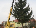 listopad 2010 - Rozsvícení vánočního stromu