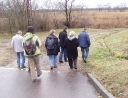 leden 2011 - Revitalizace ploch zeleně