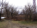 leden 2011 - Revitalizace ploch zeleně