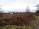 leden 2011 - Revitalizace ploch zeleně