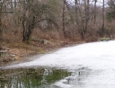 leden 2011 - Revitalizace ploch zeleně