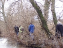 leden 2011 - Revitalizace ploch zeleně