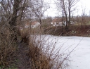 leden 2011 - Revitalizace ploch zeleně