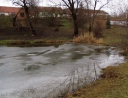 leden 2011 - Revitalizace ploch zeleně