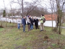 leden 2011 - Revitalizace ploch zeleně