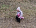 leden 2011 - Revitalizace ploch zeleně
