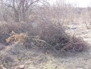 březen 2011 - Černé skládky