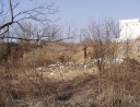 březen 2011 - Černé skládky