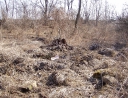 březen 2011 - Černé skládky