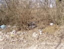 březen 2011 - Černé skládky
