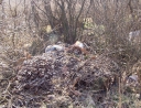 březen 2011 - Černé skládky