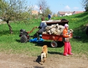 duben 2011 - Akce Dyje