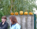 říjen 2011 - Táborák s dýněmi v MŠ