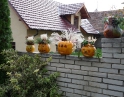 říjen 2011 - Táborák s dýněmi v MŠ