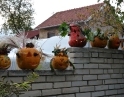 říjen 2011 - Táborák s dýněmi v MŠ