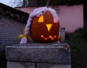 říjen 2011 - Táborák s dýněmi v MŠ
