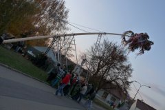 Martinské hody, stavění máje 11.11.2011