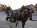listopad 2011 - Martinské hody