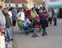 listopad 2011 - Martinské hody