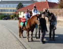 listopad 2011 - Martinské hody