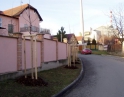 prosinec 2011 - výsadba stromů