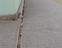březen 2012 - Tenisové kurty