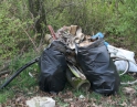duben 2012 - Akce Dyje