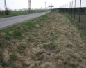 duben 2012 - Akce Dyje
