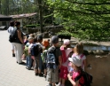 květen 2012 - Výlet MŠ do ZOO