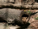 květen 2012 - Výlet MŠ do ZOO