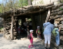 květen 2012 - Výlet MŠ do ZOO