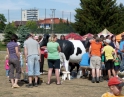 květen 2012 - Velký dětský den