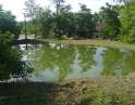 červen 2012 - Údržba zeleně