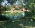 červen 2012 - Údržba zeleně