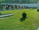 červen 2012 - Údržba zeleně