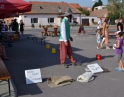 červenec 2012 - Pohádkové léto