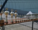 červenec 2012 - Nohejbal Open 2012