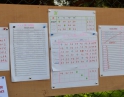 červenec 2012 - Nohejbal Open 2012