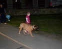 září 2012 - Lampionový průvod