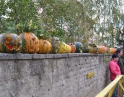 říjen 2012 - Táborák s dýňovými strašidýlky