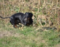 říjen 2012 - Drakiáda