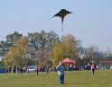 říjen 2012 - Drakiáda